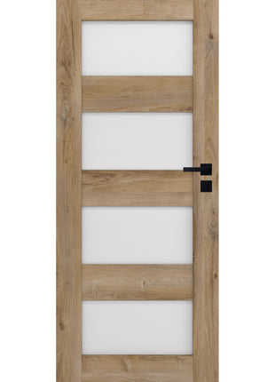 Drzwi Syriusz Moderno Doors - widok w aranżacji